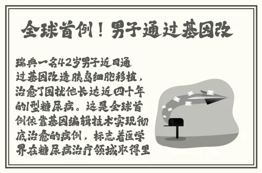 番茄视频 片